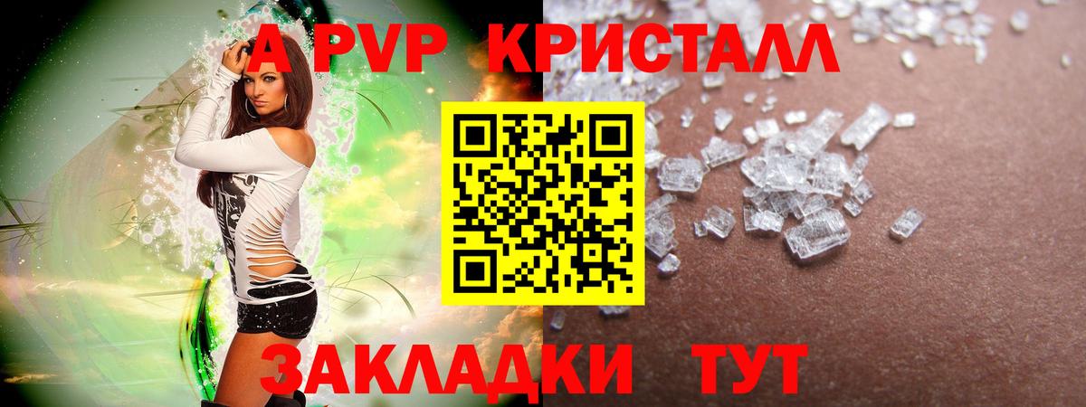 A PVP СК КРИС Коряжма