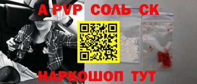 соль ск Камышлов