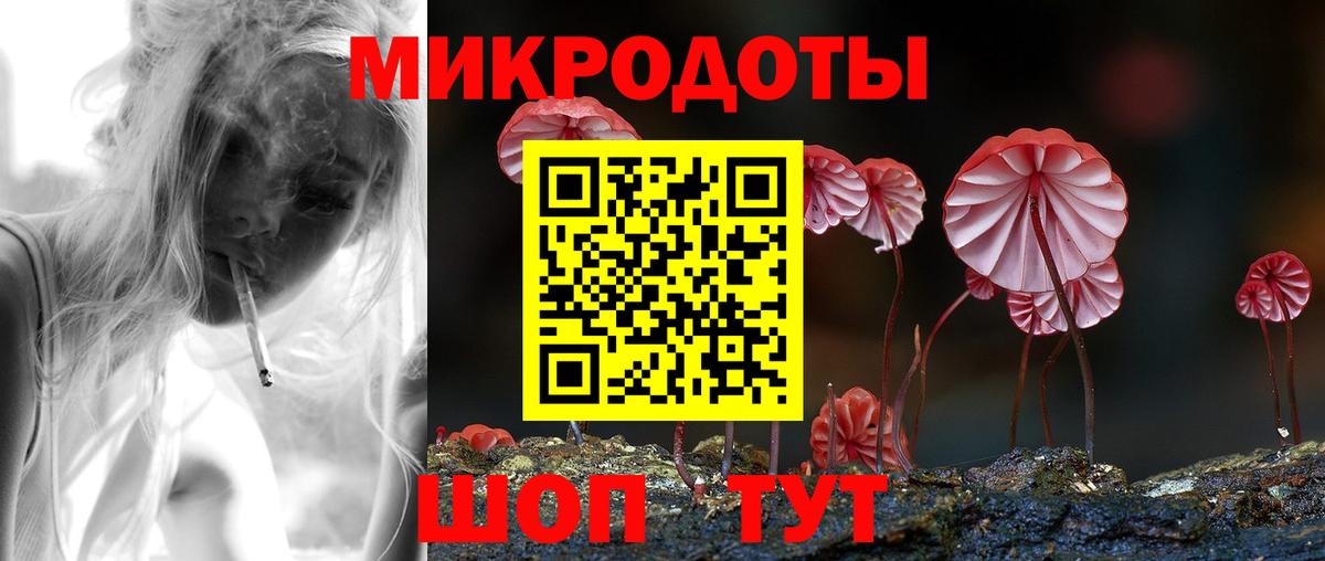 Галлюциногенные грибы Cubensis Коряжма