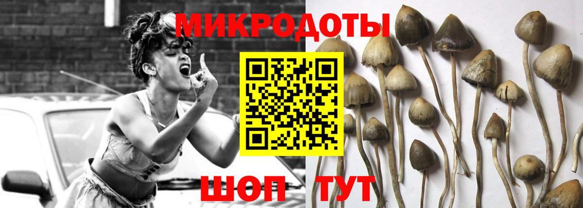 Галлюциногенные грибы Cubensis  Вход с VPN  Коряжма 