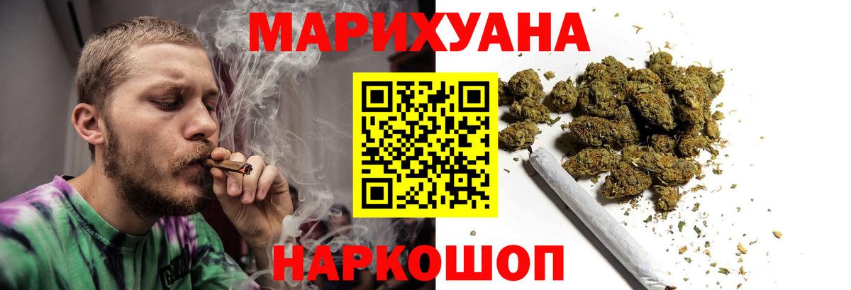 Бошки Шишки планчик Коряжма